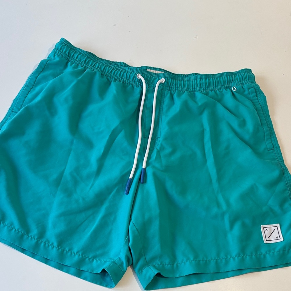 American Eagle Swim Trunks